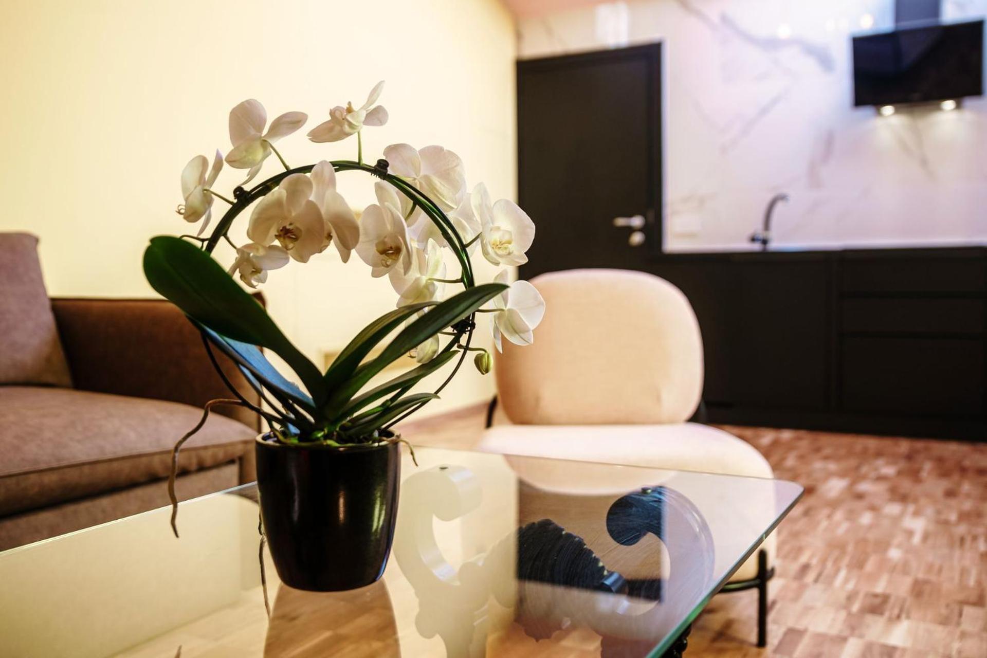 Aurum - Como Luxury Suites Номер фото
